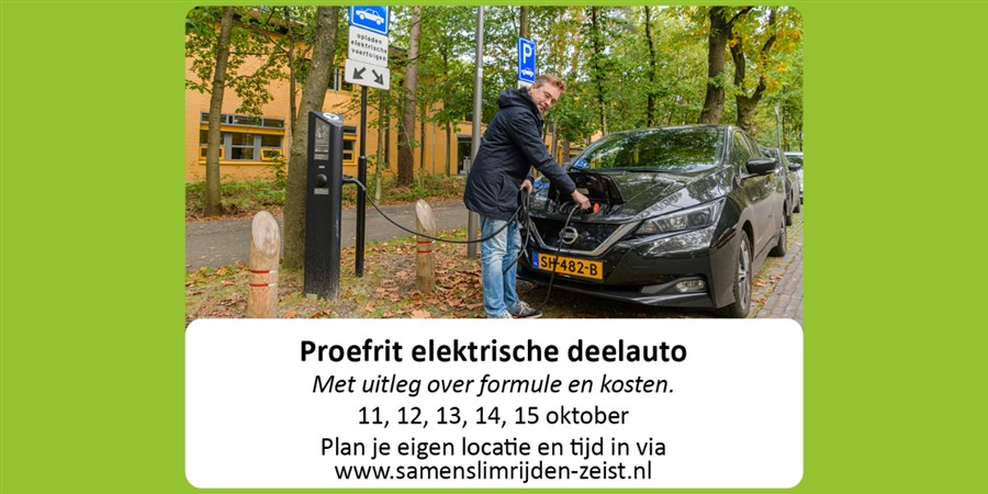 Bericht Proefrit elektrische deelauto bekijken